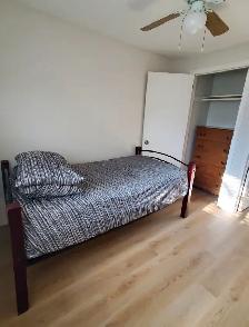 Roommate Needed - Photo 2