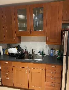 Roommate Needed - Photo 3