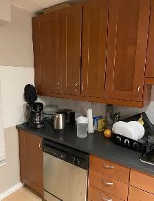 Roommate Needed - Photo 4