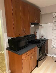 Roommate Needed - Photo 5