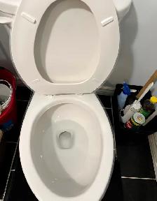 Roommate Needed - Photo 8