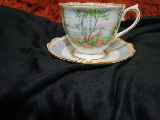 Vintage Tea Cup & Saucer. The Silver Birch pattern 1940's -50's