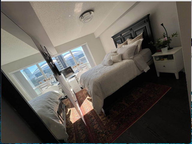 Furnished Private Master bedroom and Bathroom, King/John,Nov 1st
