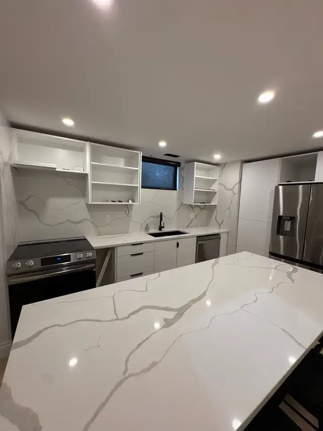 2 bedroom  newly renovated walkout basement apartment