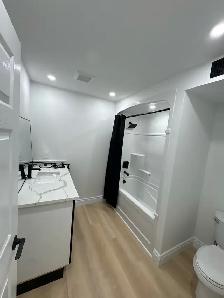 2 bedroom  newly renovated walkout basement apartment - Photo 6
