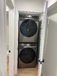 2 bedroom  newly renovated walkout basement apartment - Photo 8