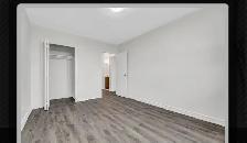 1 Bedroom for rent in a 2 bedroom apartment. 12 Glodfinch Court. - Photo 6