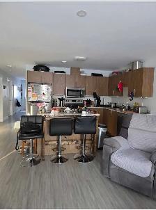 two bedroom townhouse in hilden for rent
