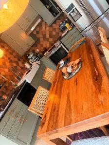 Cleaning, Laundry, Errands & Senior help  in Ottawa – $20–$25