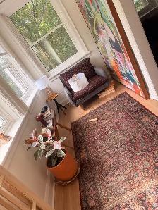 Cleaning, Laundry, Errands & Senior help  in Ottawa – $20–$25 - Photo 4