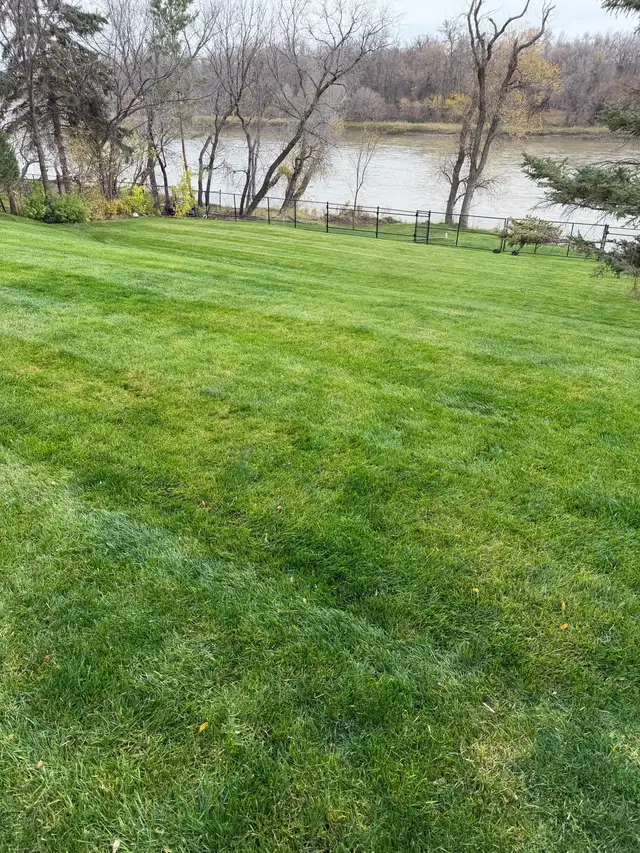 fall cleanup help needed