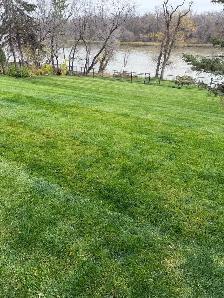 fall cleanup help needed