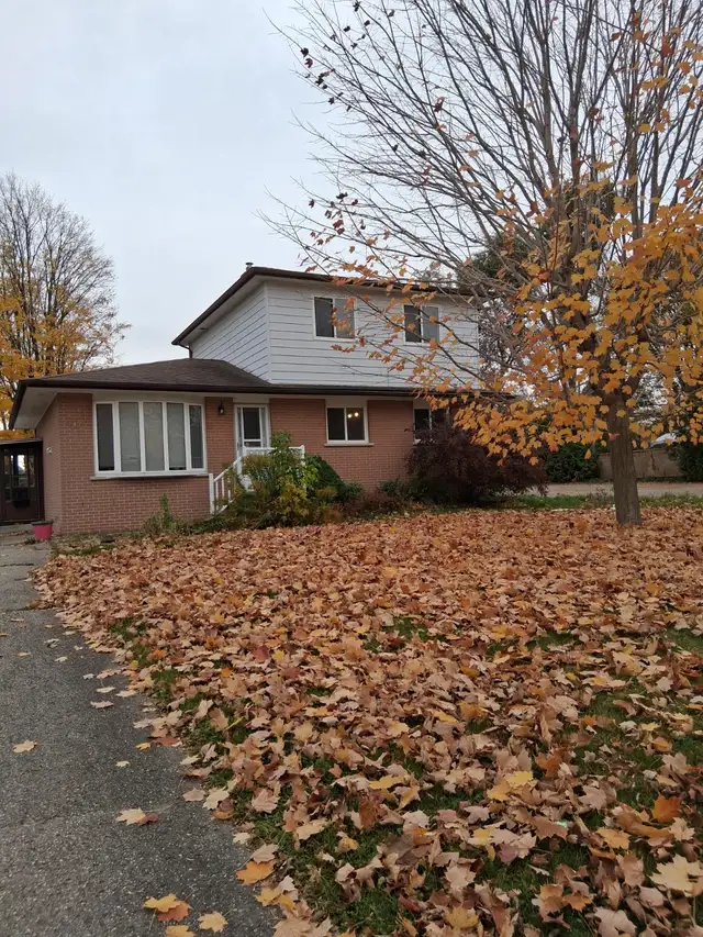 Detached House for Rent in Orangeville