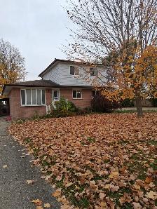 Detached House for Rent in Orangeville