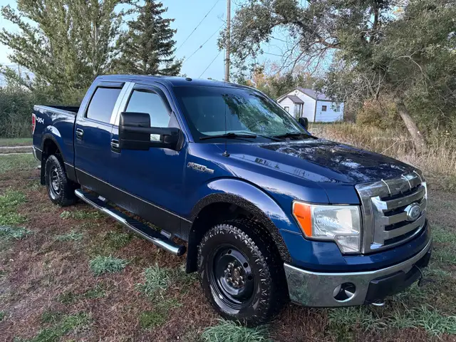 2009 ford f150 xlt