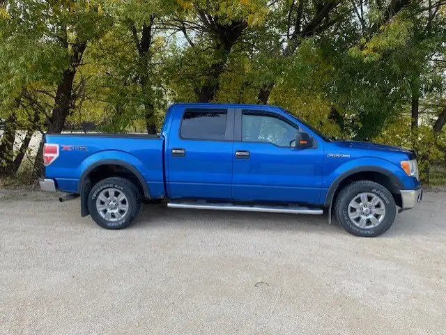 2010 F150