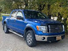 2010 F150 - Photo 2