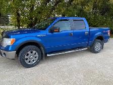 2010 F150 - Photo 3