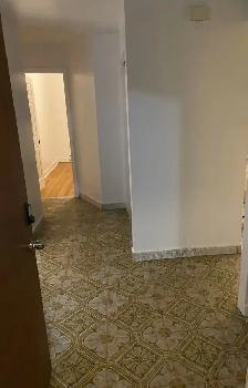 Appartement 5 1/2 à louer : spacieux avec bel éclairage naturel - Photo 2