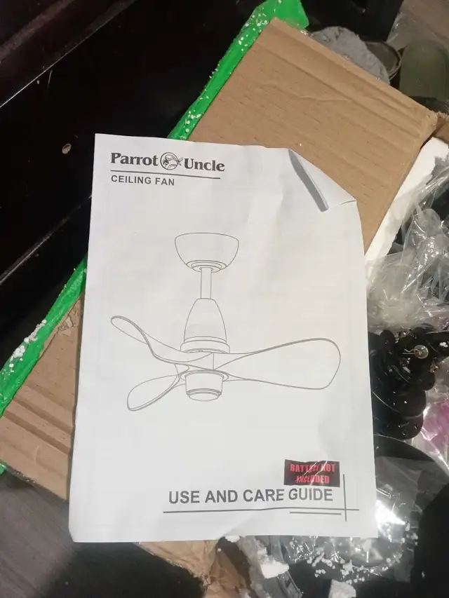 Ceiling fan