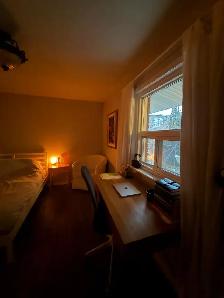 Furnished room for rent in Toronto Downtown (Just Female) - Photo 4