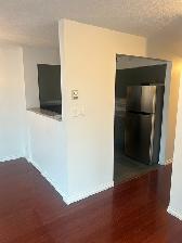 1 Bed   Den Condo at The Jetson - Photo 8