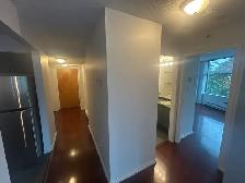 1 Bed   Den Condo at The Jetson - Photo 12