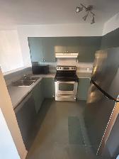 1 Bed   Den Condo at The Jetson - Photo 19