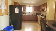 Suite: Master BedRoom for rent $1100 (steeles and Hurontario) - Photo 10