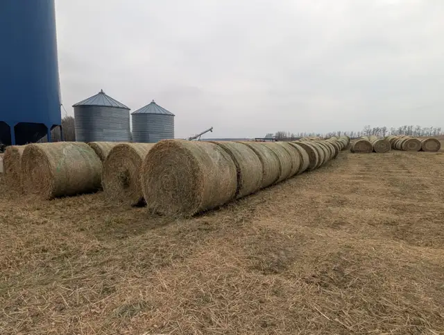 Second Cut Hay