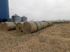 Second Cut Hay