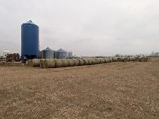 Second Cut Hay - Photo 2