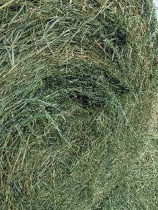Second Cut Hay - Photo 3