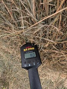 Second Cut Hay - Photo 6