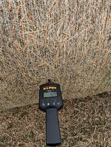 Second Cut Hay - Photo 7