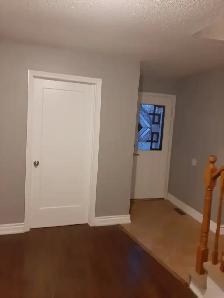 LARGE  ROOM FOR RENT IN A DETACHED HOUSE - Photo 3