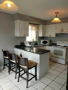LARGE  ROOM FOR RENT IN A DETACHED HOUSE - Photo 5