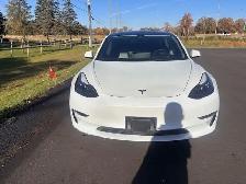 2023 Tesla Model 3 RWD - Photo 3
