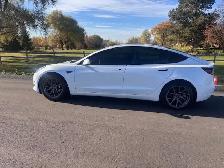 2023 Tesla Model 3 RWD - Photo 4