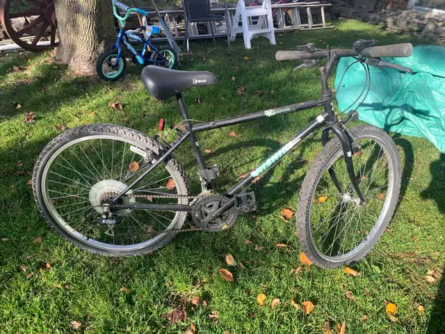 Adult mountain bike