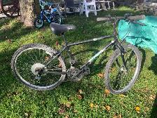 Adult mountain bike