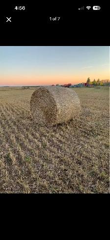 Greenfeed bales