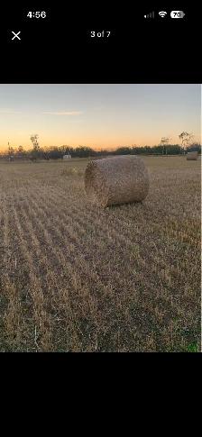 Greenfeed bales - Photo 2