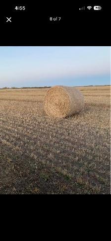 Greenfeed bales - Photo 3