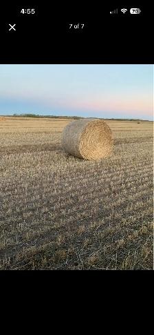 Greenfeed bales - Photo 4