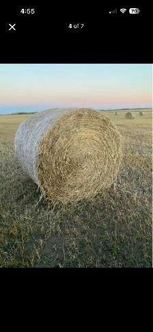 Greenfeed bales - Photo 5