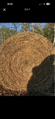 Greenfeed bales - Photo 6