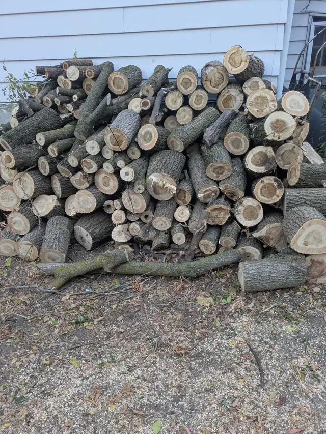 Firewood for FREE