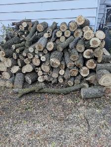 Firewood for FREE
