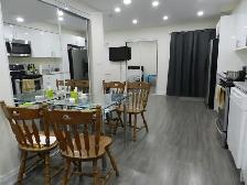 Walkout Bachelor/Studio HWY 7 & Dufferin (Thornhill)